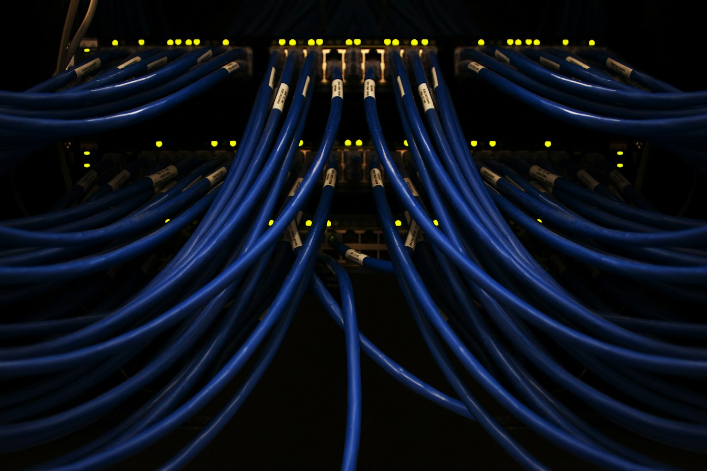 Blue network cables in a data centre